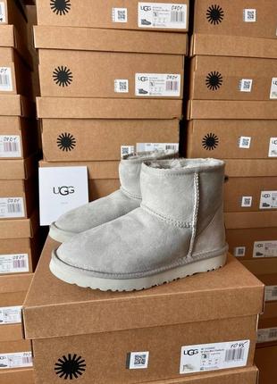 Угги ugg classic mini light grey suede