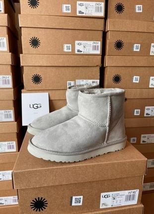 Уггі ugg classic mini light grey suede