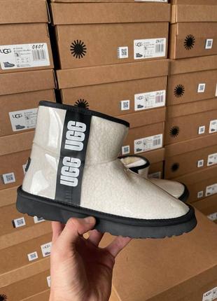 Жіночі угги  ugg classic mini