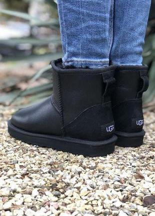 Жіночі угги ugg classic mini7 фото