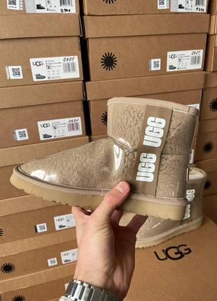 Жіночі угги  ugg classic mini7 фото