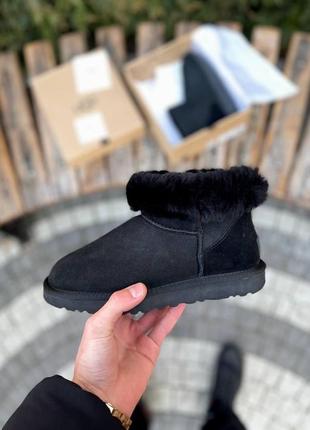 Унісекс угги ugg classic mini5 фото