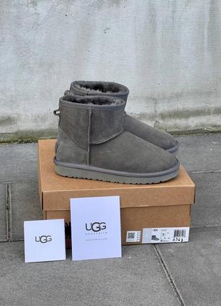 Уггі ugg classic mini grey suede1 фото