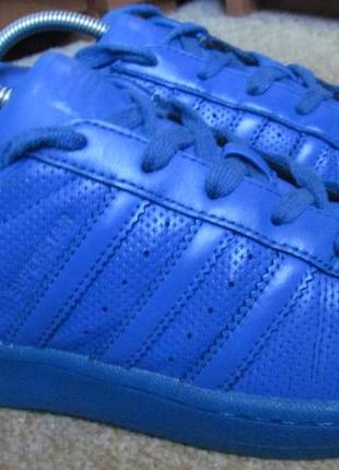 adidas superstar 37.5