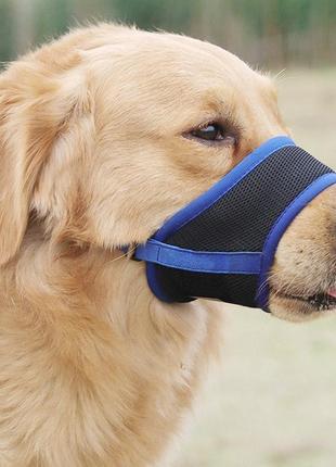 Намордник для собак тканевый pet style "urban" синий