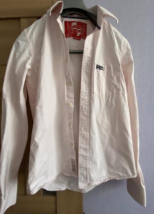 Блуза в рожеву смужку super dry