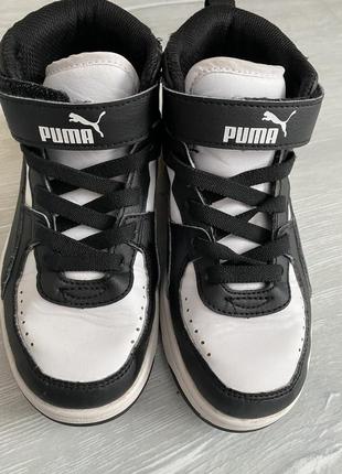 Хайтопи puma