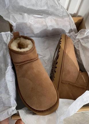 Угги уги угі уггі ugg ultra mini chestnut (premium)