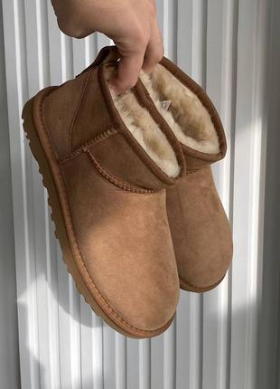 Угги уги угі уггі ugg ultra mini chestnut (premium)3 фото