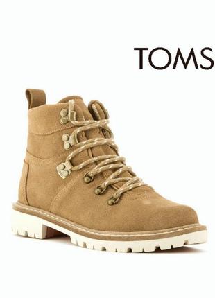 Женские замшевые ботинки toms summit - toffee р.36