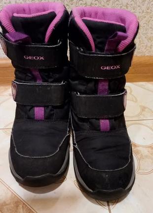 Зимние ботинки geox1 фото