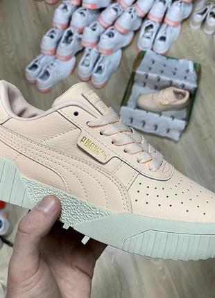 Puma beige Heren, женские кроссовки пума