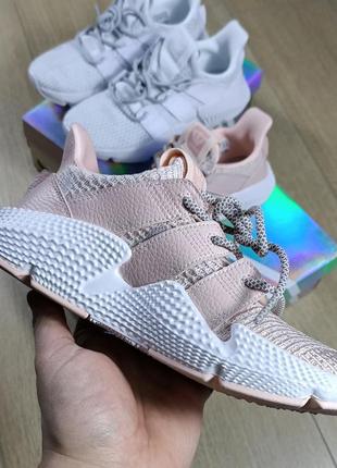 Кроссовки adidas originals prophere2 фото