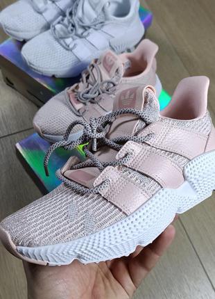 Кроссовки adidas originals prophere1 фото