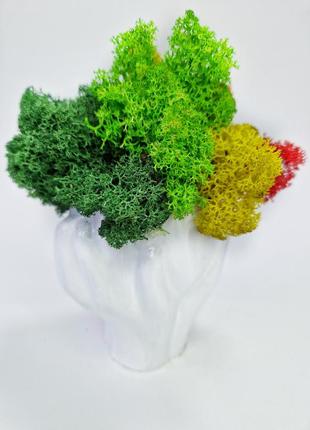 Стабілізований мох в елегантному кашпо затишний декор для дому декоративний кольоровий мох5 фото