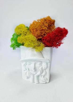 Стабілізований мох в оригінальному кашпо стильний декор для дому кольоровий мох у кашпо