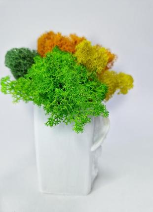 Стабилизированный мох в оригинальном кашпо стильный декор для дома цветной мох в кашпо8 фото