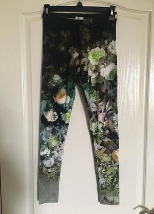 Лосини magenta