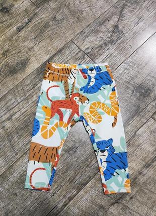 Лосіни, штани двунітка, zara, р. 80, 9-12міс., довжина 41см