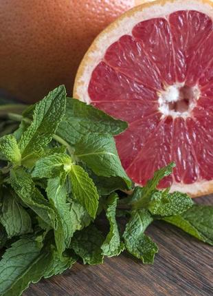 Ароматична олія для свічок і мила грейпфрут и мята (candlescience grapefruit and mint)1 фото