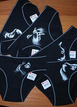 5 шт трусики 10-11 зріст 146-152 донелла donella котик