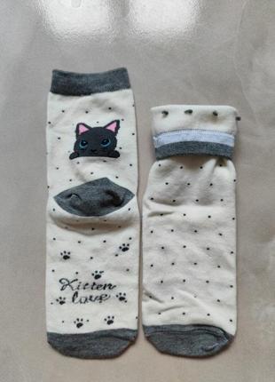 Носки трендовые с котами5 фото