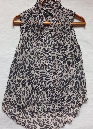 H&m блузка в леопартовий принт.