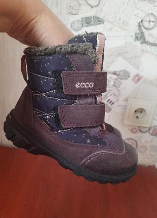 Зимние ботинки ecco с мембраной gore-tex размер 26 (ст. 17 см)
