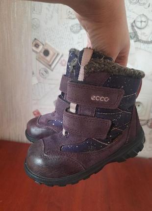 Зимние ботинки ecco с мембраной gore-tex
размер 26 (ст. 17 см)