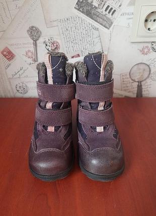 Зимние ботинки ecco с мембраной gore-tex размер 26 (ст. 17 см)