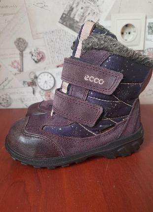 Зимние ботинки ecco с мембраной gore-tex размер 26 (ст. 17 см)