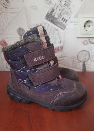 Зимние ботинки ecco с мембраной gore-tex размер 26 (ст. 17 см)