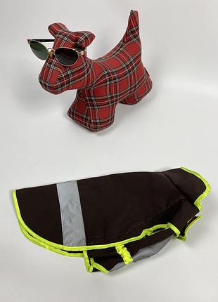 Попона для вашего любимца