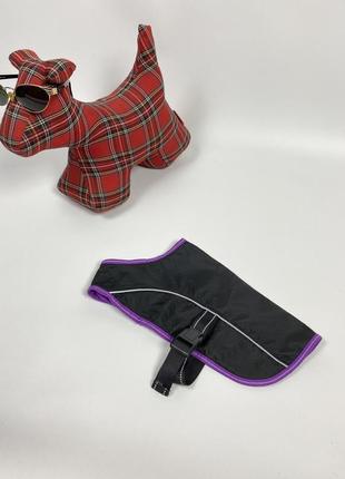 Попона для собаки