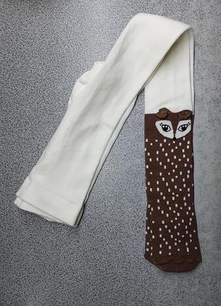 Молочные колготки с лисичками