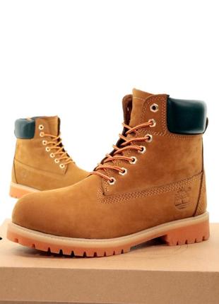 Зимні черевики timberland ❄️1 фото