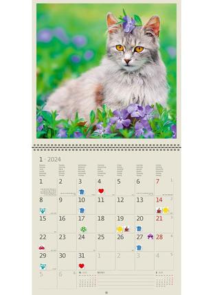 Календар helma 2024 30 x 30 см cats (lp01-24)4 фото