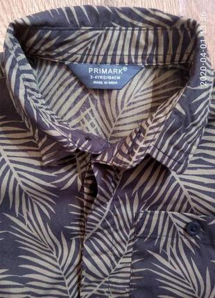 Модная рубашка короткий рукав на лето  от primark на 3-4 года рост 98-104 см2 фото