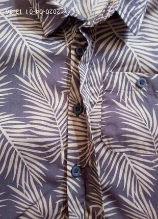 Модная рубашка короткий рукав на лето  от primark на 3-4 года рост 98-104 см4 фото