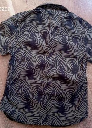 Модная рубашка короткий рукав на лето  от primark на 3-4 года рост 98-104 см7 фото