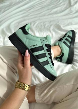 Кросивки adidas campus turquoise