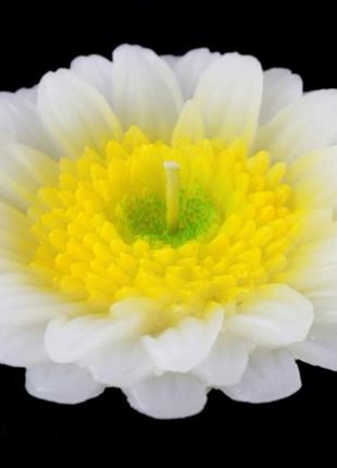 Свеча - цветок "белая хризантема"1 фото