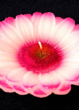 Свічка — квітка "фіолетова хризантема"1 фото