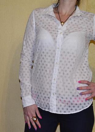 Белая рубашка в прозрачный горох gap
