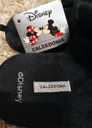 Нові капці calzedonia4 фото