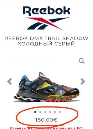 Лимитированная версия кроссовок reebok reebok dmx trail 40-41 размер2 фото
