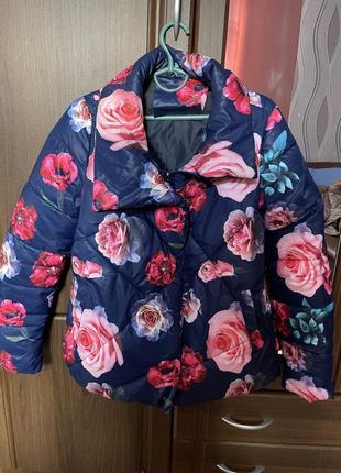 Курточка деми