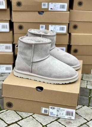 Угги ugg classic mini light grey suede угги