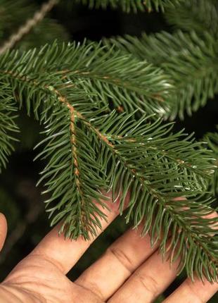 Акція! ялинка штучна лита зелена блакитна 1,5м 1,8м 2,1м 2,3м 2,5м 3м