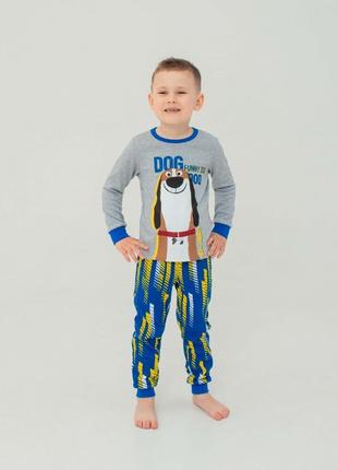 Детская пижама | 92, 110, 116 | очень приятная к телу для мальчика smil 104523 серый меланж